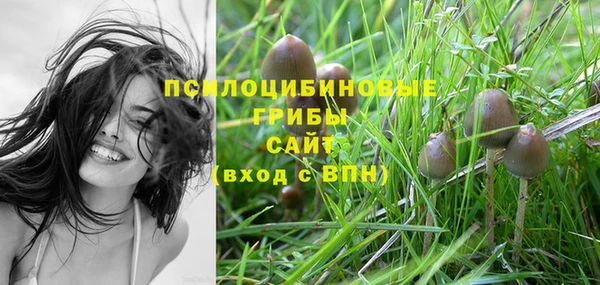 меф Богородицк