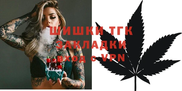 стаф Богданович