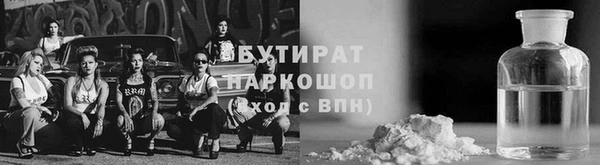 стаф Богданович