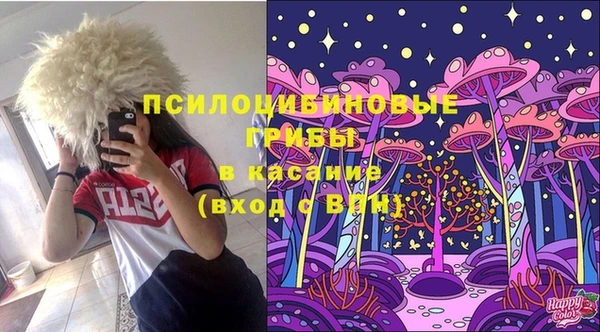 меф Богородицк
