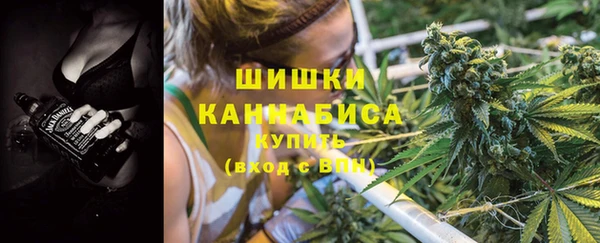 стаф Богданович