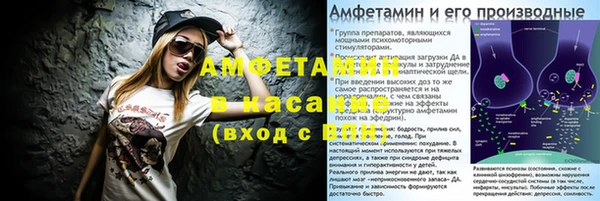 стаф Богданович