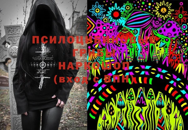 стаф Богданович