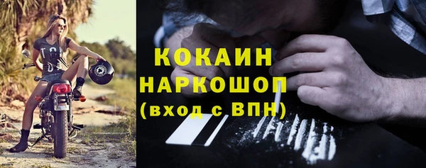стаф Богданович