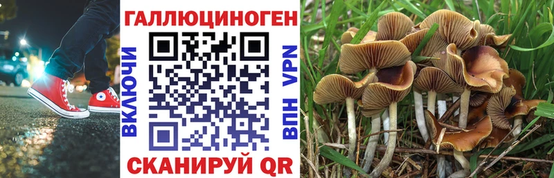 Псилоцибиновые грибы Psilocybe  ссылка на мегу рабочий сайт  Туапсе  где найти  